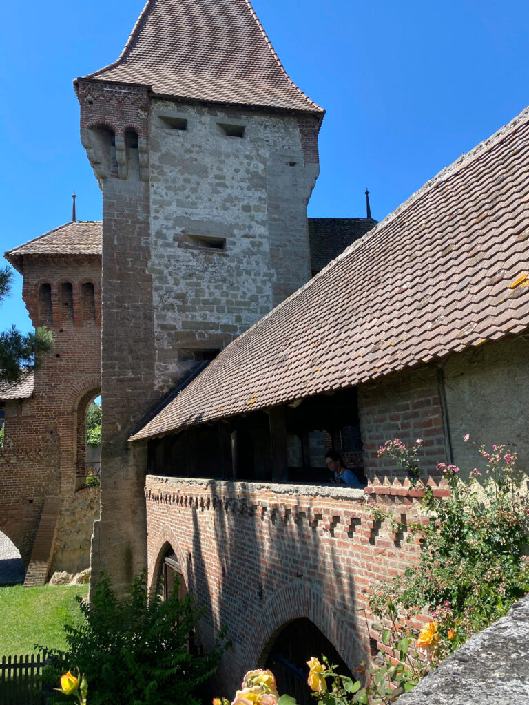 Tour médiévale du château d'Estavayer-le-Lac entourée de fleurs, Fribourg Suisse