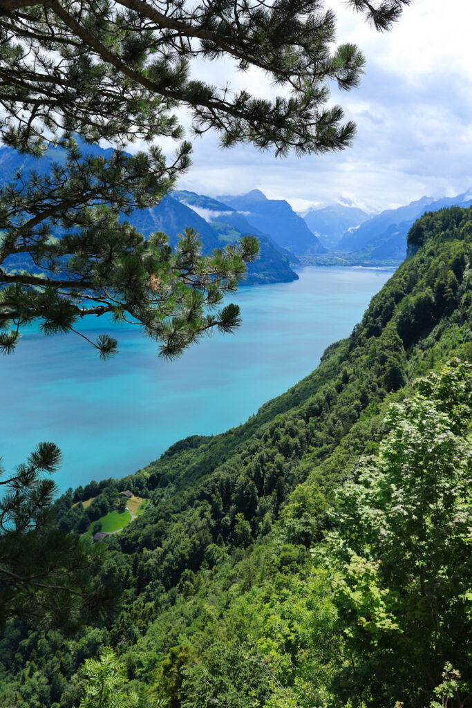 Paysage d'Altdorf, Uri : lac turquoise au premier plan, flancs boisés et sommets alpins sous une lumière claire.