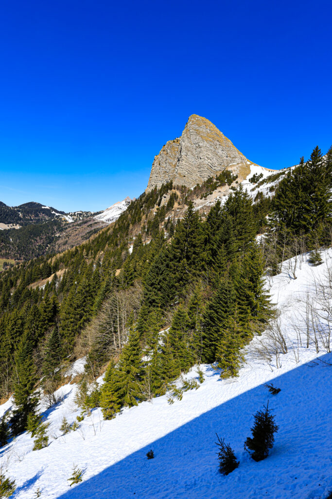 Paysage de montagne suisse avec le sommet rocheux de la Dent de Jaman, une forêt de sapins verts et des pentes enneigées sous un ciel bleu clair.