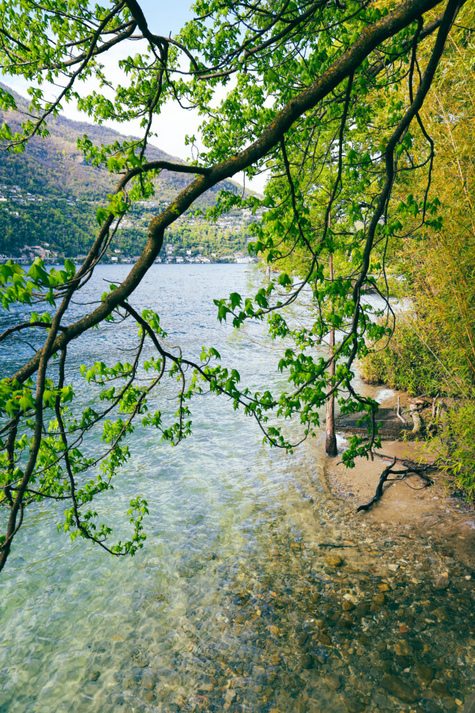 Eau cristalline du lac de Lugano en transparence sous des branches printanières, montagne en arrière-plan, Tessin