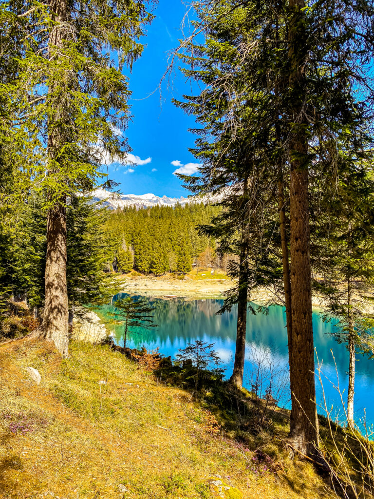Lac de Caumasee en automne, reflet du ciel dans l'eau turquoise calme, pins entre deux rives, Grisons
