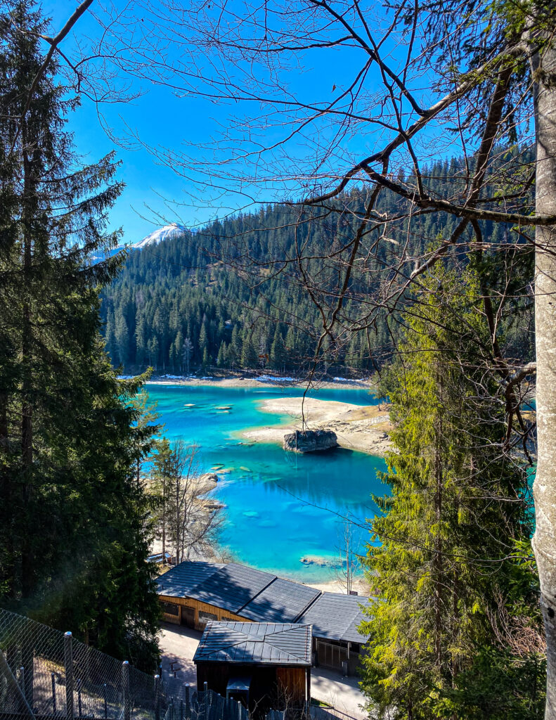 Lac turquoise de montagne entouré de sapins, vue encadrée par des branches